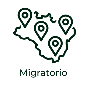 Especialidades Rolón y Asociados 230